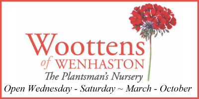 Woottens Plants