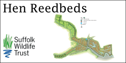 Suffolk Wildlife Trust Hen Reedbeds