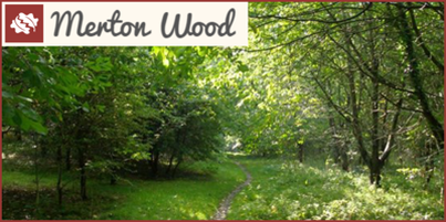 Woodland Trust Merton Wood